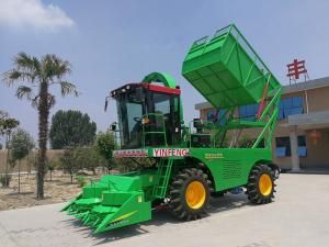 玉米青儲機操作規范出臺，確保有效安全收割